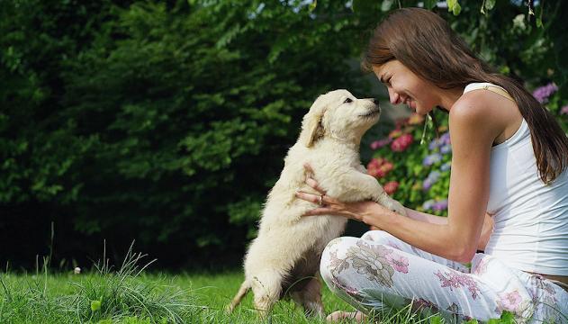 Cosa succede al nostro cervello quando stiamo con dei cuccioli