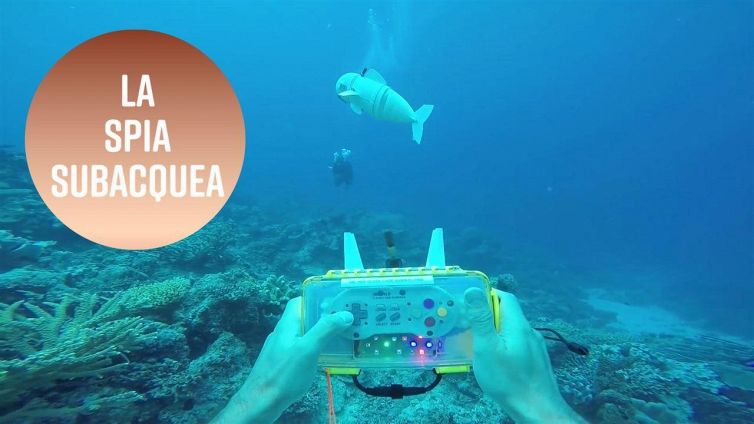 Una sorprendente spia: il pesce robot