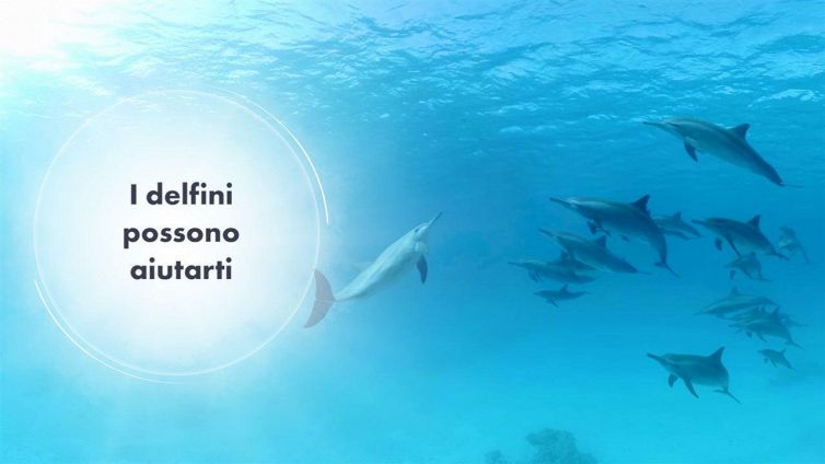 Nuotare con i delfini (virtuali) fa bene alla salute