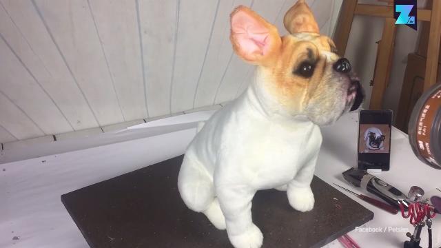 Il tuo cane ha un sosia