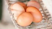 Immergete un uovo nell’aceto per 24 ore: il risultato vi sorprenderà