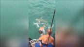 Sfida da paura nell'Oceano: uomo lotta con squalo