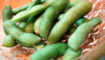 7 super alimenti raccomandati per le donne