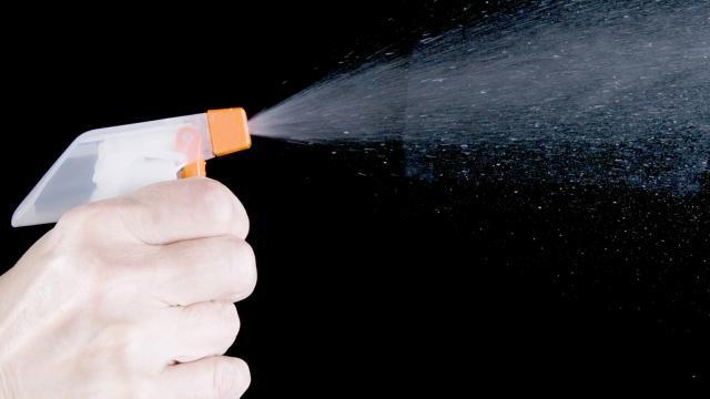 10 metodi fai da te per liberarsi dagli insetti