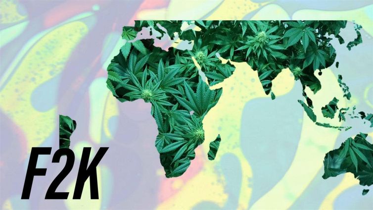 Marijuana, dove è legale?