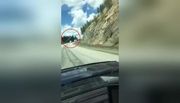 L'aereo atterra miracolosamente in autostrada: pilota salvo