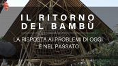 Il ritorno del bambù: le antiche soluzioni moderne
