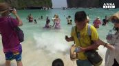 Thailandia, la spiaggia di The Beach chiusa 4 mesi l'anno