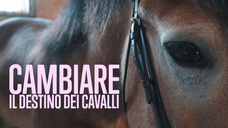 Basta cavalli al macello, ecco la missione di Ekaterina