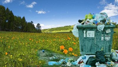 Plastica, vetro e legno: cosa fare per salvare l'ambiente