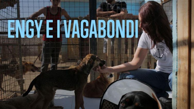 Engy, la paladina dei cani egiziani