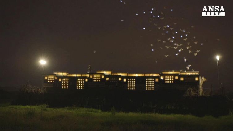 1500 colombi con Led illuminano notte di Londra