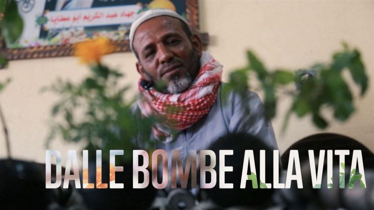 Dalle bombe alle piante: creare vita dalla morte