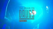 Il cervello e la droga: lo speed