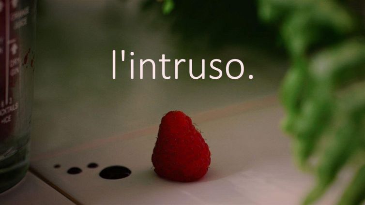 Lamponi che passione! Anche in insalata