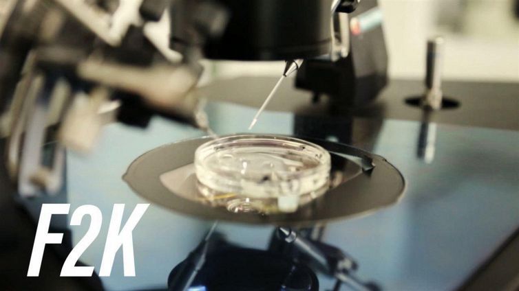 Ovaie artificiali: la battaglia contro l'infertilità