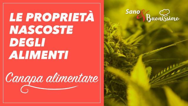 Le proprietà degli alimenti: la canapa