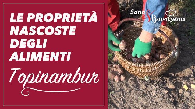 Le proprietà degli alimenti: il topinambur #sanoebuonissimo