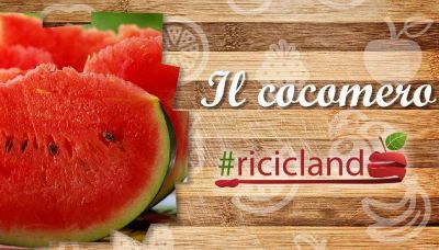 Come riutilizzare le bucce del cocomero?
