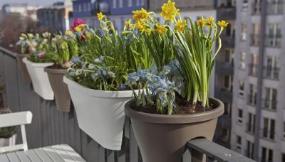 Come innaffiare le piante quando si è in vacanza