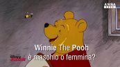 Winnie The Pooh e' maschio o femmina?