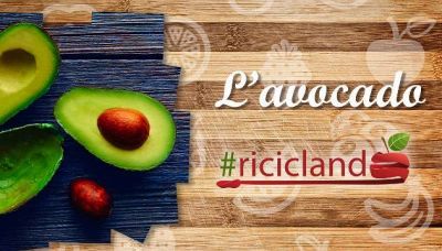 Come riutilizzare le bucce dell'avocado?