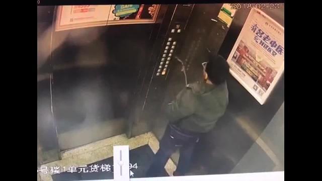 Fa la pipì in ascensore e rimane bloccato. Genio!