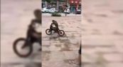 La scimmia ruba una bicicletta e scappa pedalando
