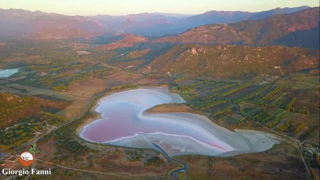 Questo lago rosa sembra uscito da un altro pianeta