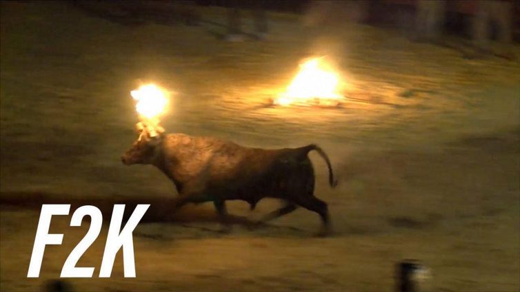 La Spagna fermerà mai la crudeltà sugli animali?