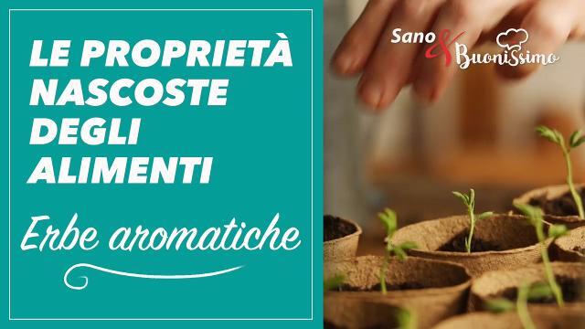 Le proprietà degli alimenti: le erbe aromatiche
