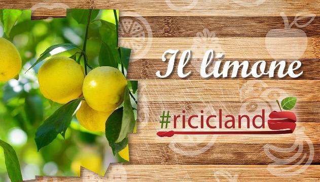 Come riutilizzare le bucce del limone?