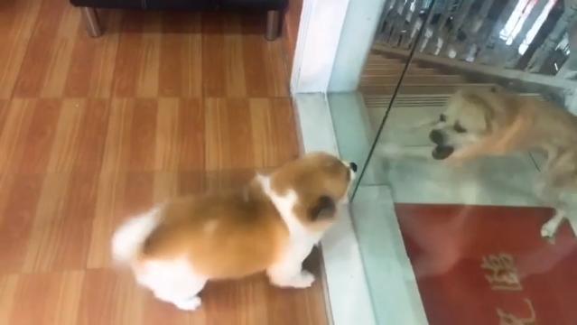 Vita online vs vita reale: la metafora perfetta