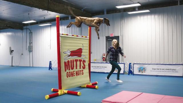Guinness World Records 2019: le storie più belle