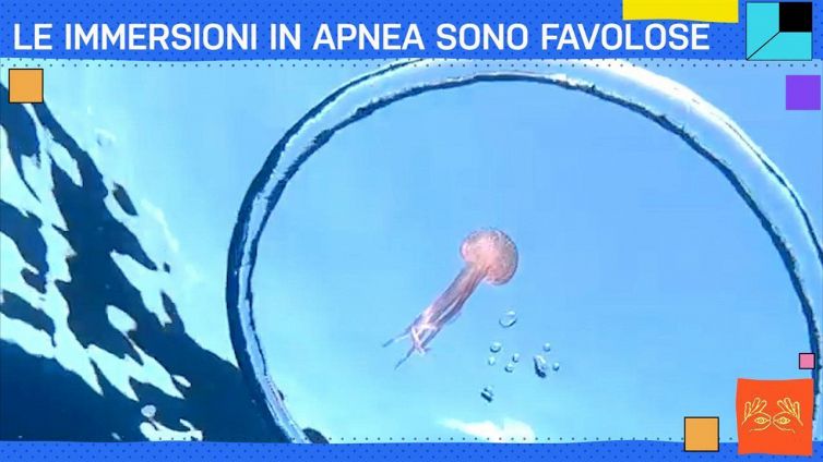 Immersioni in apnea: lo spettacolo è strabiliante