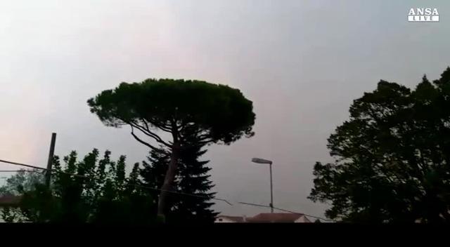 Genova, incidente probatorio per crollo ponte Morandi