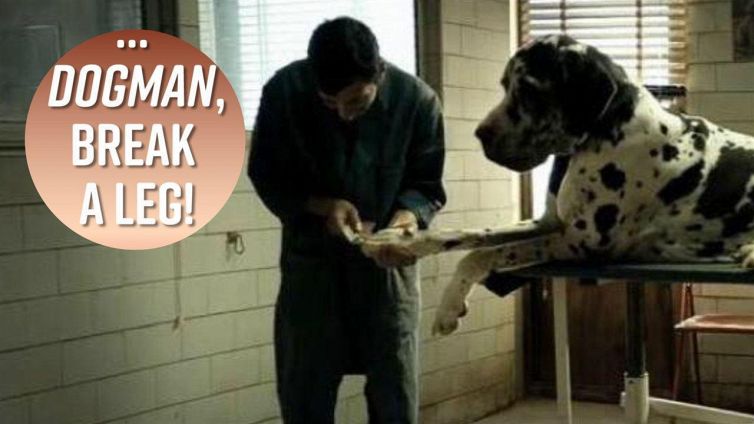 Corsa (da cani) per l'Oscar: ce la farà 'Dogman'?
