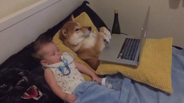 Bimbo e cucciolo guardano i cartoni insieme. Che teneri!