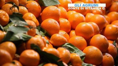 Gli agrumi, ecco come sceglierli e come conservarli