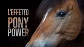 Pet therapy: tutti a cavallo per vincere la disabilità