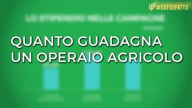 Quanto guadagna un operaio agricolo