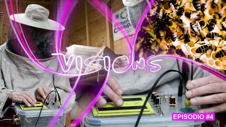 Visions ep.4: la musica delle api
