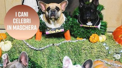 I cani dei vip: ecco quali sono stati i migliori di Halloween