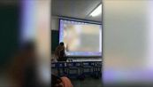 Gaffe all'università: professore lancia porno anziché video della lezione