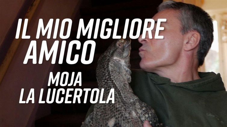 Cane o gatto? No, una lucertola gigante in casa!