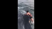 Salta sul dorso della balena e la salva dalla rete