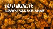 Localizzare le bombe usando le api? Si può fare!