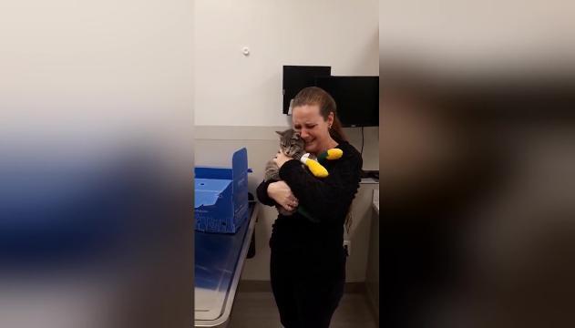 Ritrova il suo gattino dopo l'incendio: il video è commovente