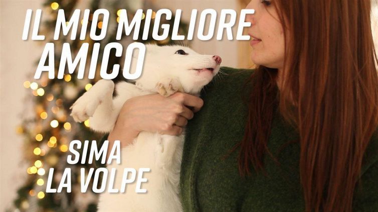 Ospitereste una volpe a casa vostra?