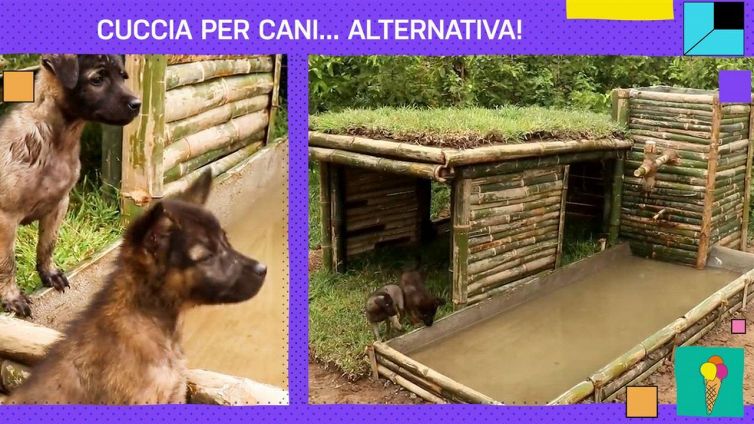 Cuccia per cani: come costruirla in modo... antiquato